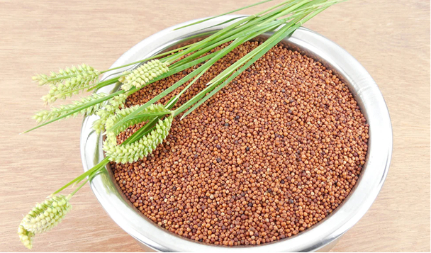 Ragi
